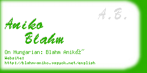 aniko blahm business card